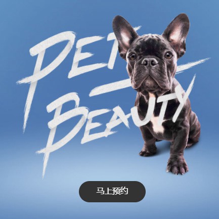 射洪宠物中心小程序开发